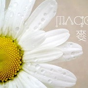 可愛笑臉小菊花www.99fzl.cn